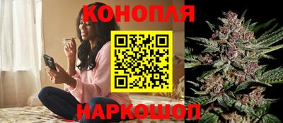 шишки Малгобек