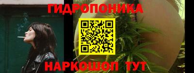 шишки Малгобек