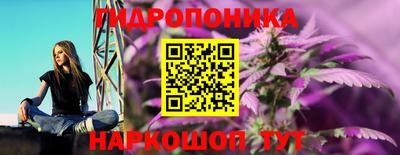 2c-b Малоярославец