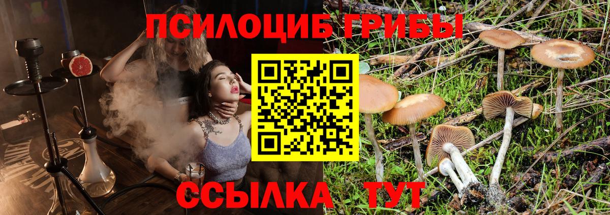 Галлюциногенные грибы мицелий  Вход с VPN  Галлюциногенные грибы мухоморы  Шадринск 