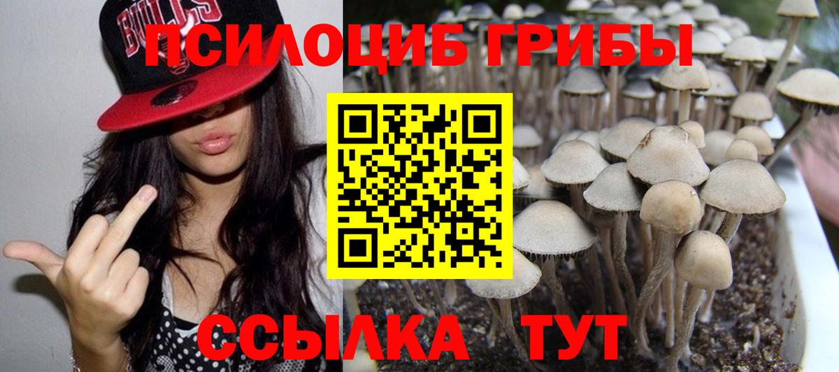 Галлюциногенные грибы GOLDEN TEACHER Шадринск